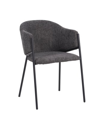 CUICY Chaise de Salle à Manger Monochromatique Luxueuse au Design M...