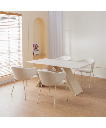 Lot de 4 CUICY Chaise de Salle à Manger Monochromatique Luxueuse au...
