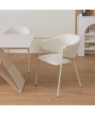 CUICY Chaise de Salle à Manger Monochromatique Luxueuse au Design M...