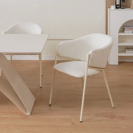 CUICY Chaise de Salle à Manger Monochromatique Luxueuse au Design M...