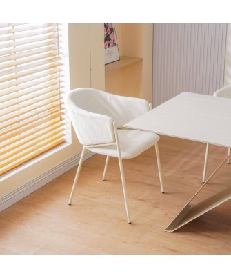 CUICY Chaise de Salle à Manger Monochromatique Luxueuse au Design M...