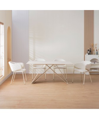 CUICY Chaise de Salle à Manger Monochromatique Luxueuse au Design M...