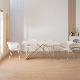 CUICY Chaise de Salle à Manger Monochromatique Luxueuse au Design M...