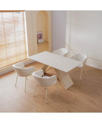 CUICY Chaise de Salle à Manger Monochromatique Luxueuse au Design M...