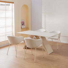 CUICY Chaise de Salle à Manger Monochromatique Luxueuse au Design M...