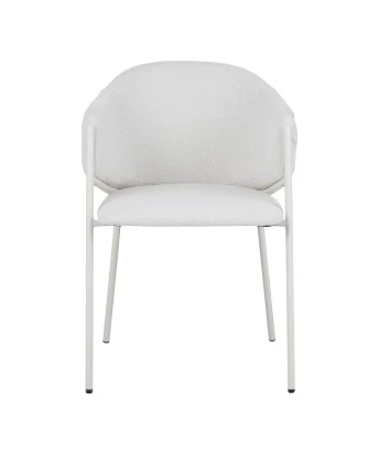 CUICY Chaise de Salle à Manger Monochromatique Luxueuse au Design M...