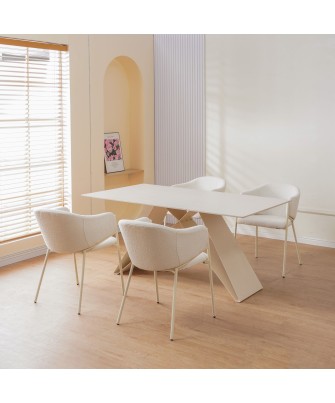 Lot de 6 CUICY Chaise de Salle à Manger Monochromatique Luxueuse au...